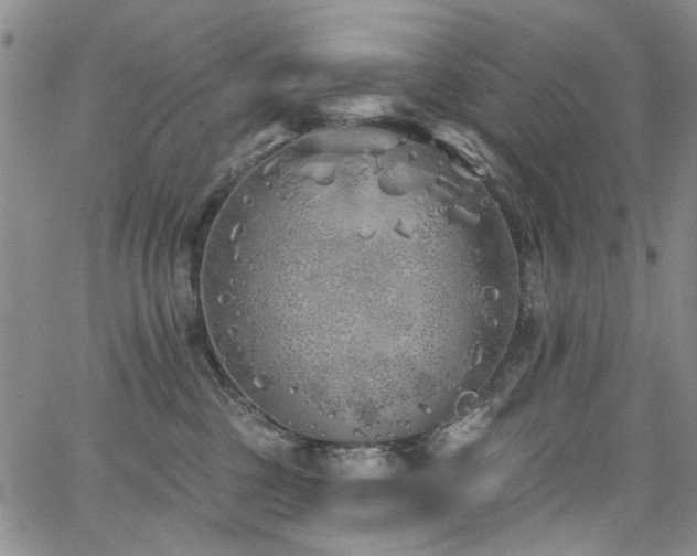 X0000067490377200604071210