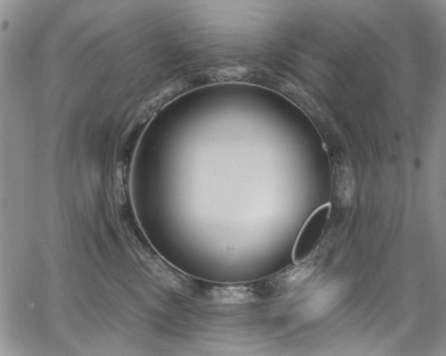 X0000067490378200604071210