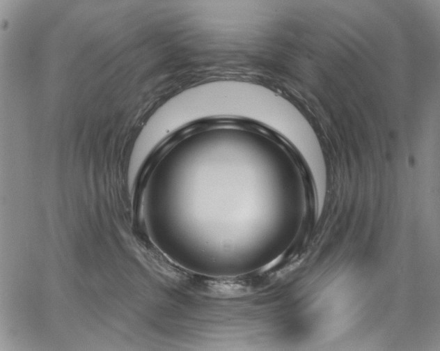 X0000067490380200604071210