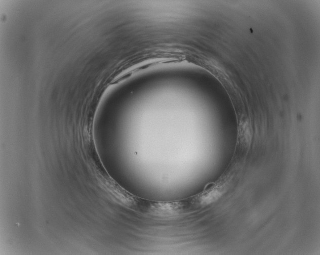 X0000067490381200604071210