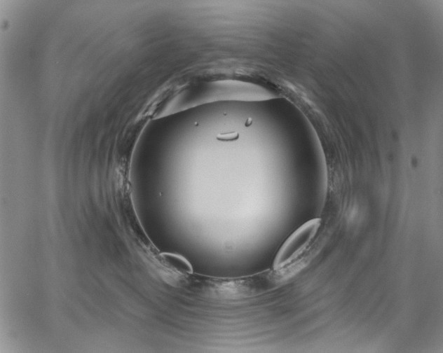 X0000067490382200604071210