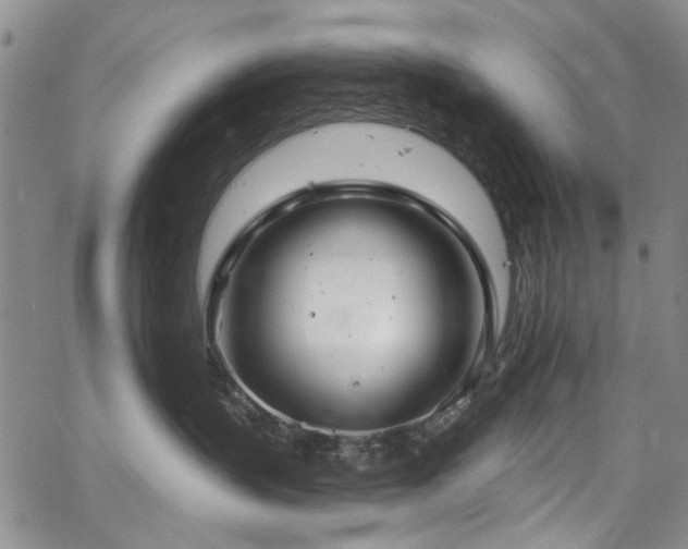 X0000067490383200604071210