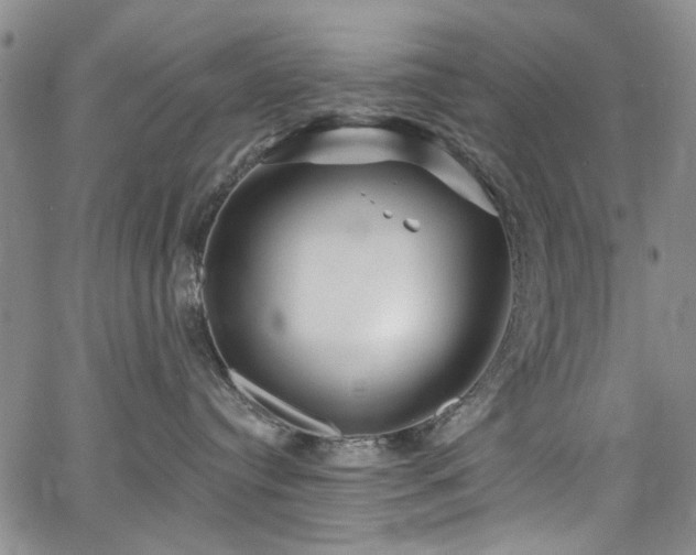 X0000067490384200604071210