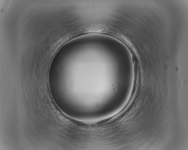 X0000067490385200604071209