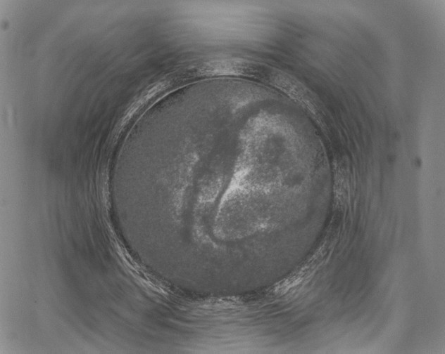 X0000067490386200604071209