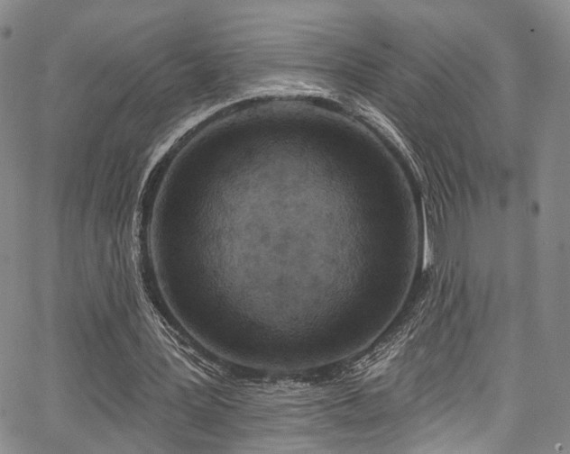 X0000067490387200604071209