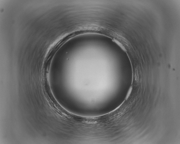 X0000067490388200604071209