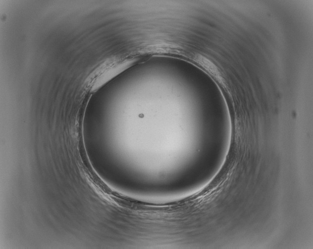 X0000067490389200604071209