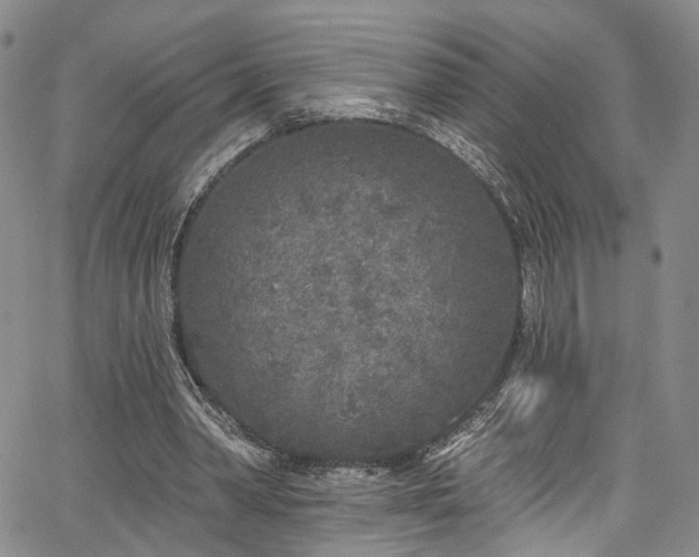 X0000067490390200604071209