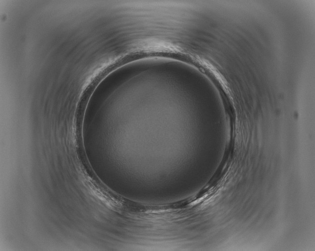 X0000067490391200604071209