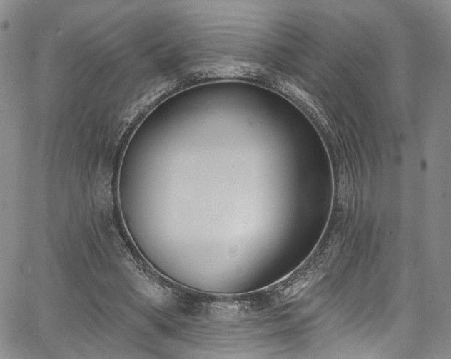 X0000067490394200604071209