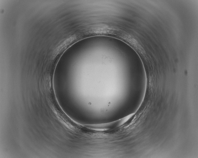 X0000067490397200604071209