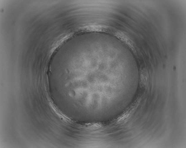 X0000067490398200604071209