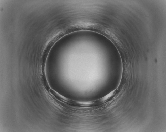 X0000067490399200604071209