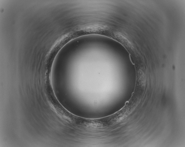 X0000067490400200604071209