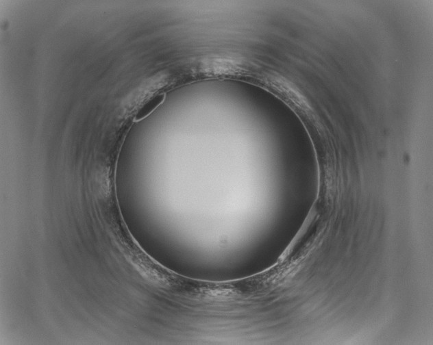 X0000067490401200604071209