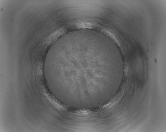 X0000067490402200604071209