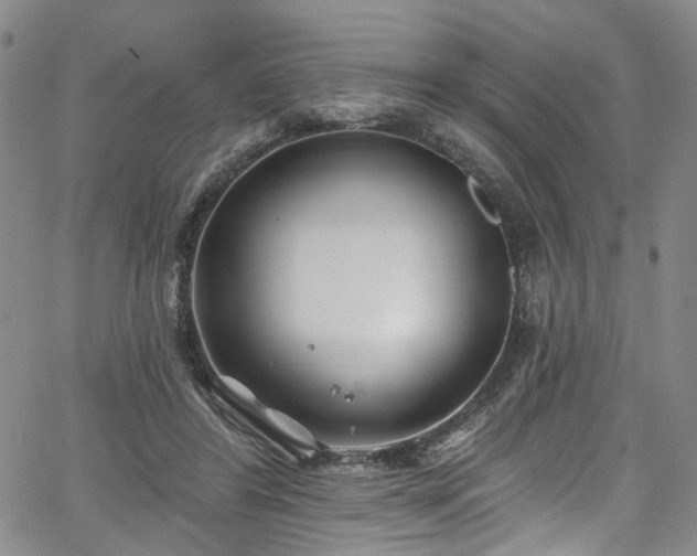 X0000067490404200604071209