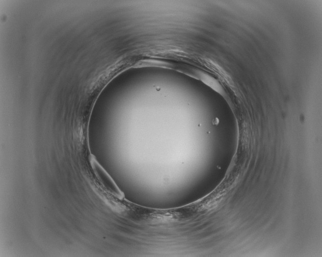 X0000067490405200604071209