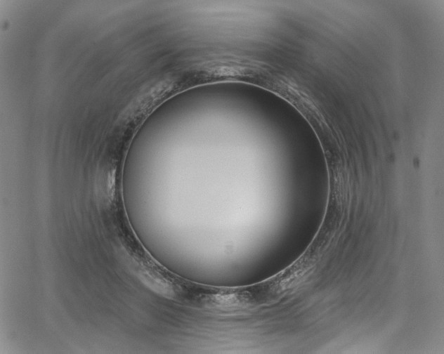 X0000067490406200604071209