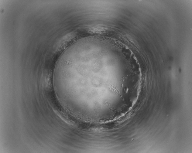 X0000067490408200604071209