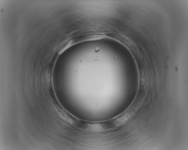 X0000067490409200604071209