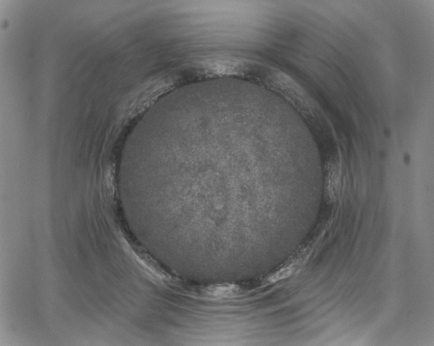 X0000067490410200604071209