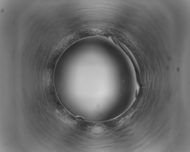 X0000067490412200604071209