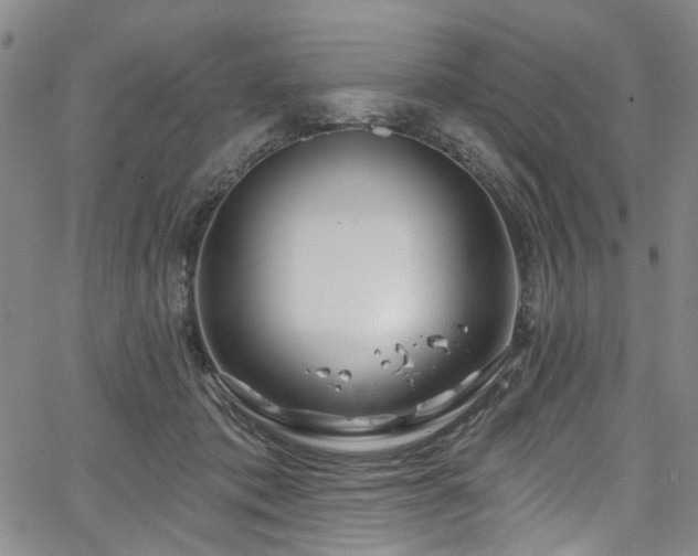 X0000067490413200604071209