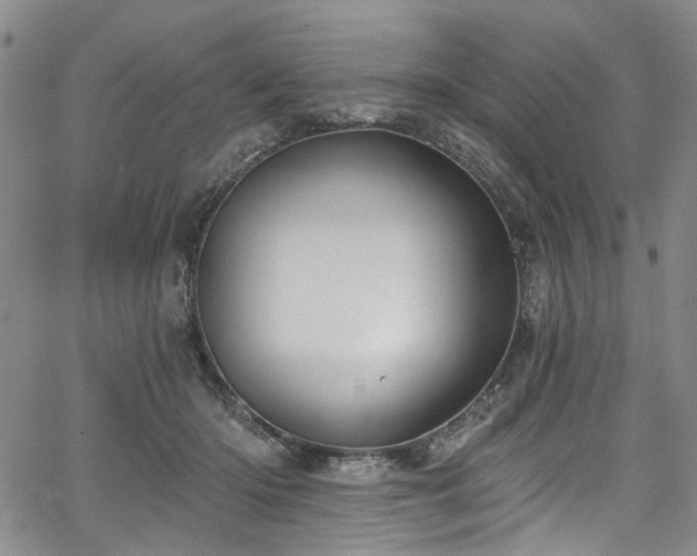 X0000067490414200604071209