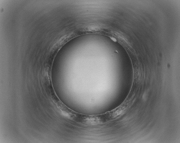 X0000067490415200604071209