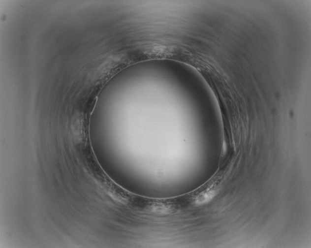 X0000067490416200604071209