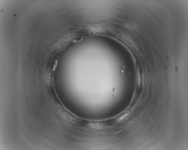 X0000067490417200604071209