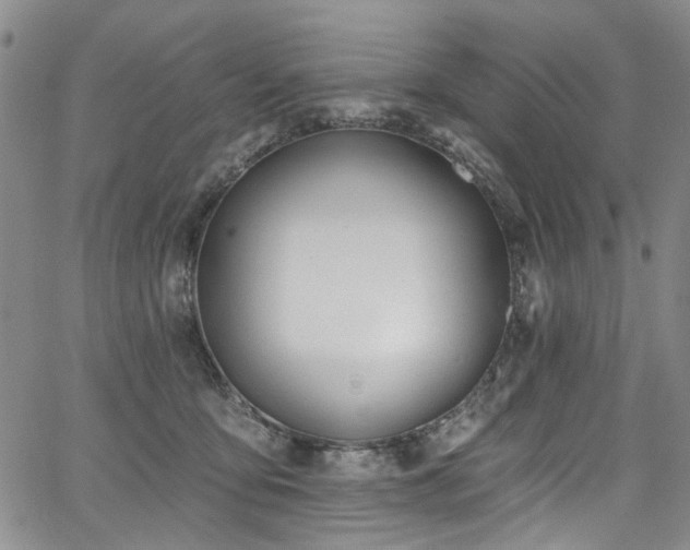 X0000067490419200604071209