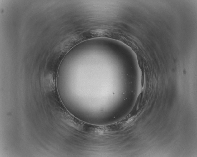 X0000067490420200604071209