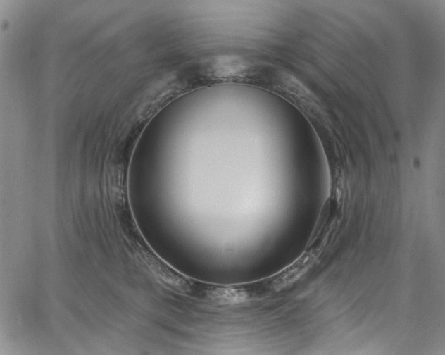 X0000067490421200604071209