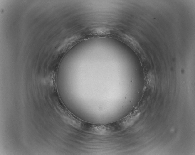 X0000067490423200604071209