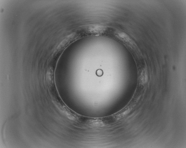 X0000067490424200604071209