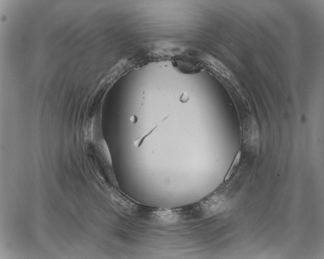 X0000067490425200604071209