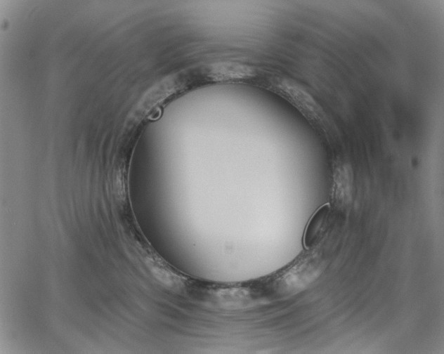 X0000067490426200604071209