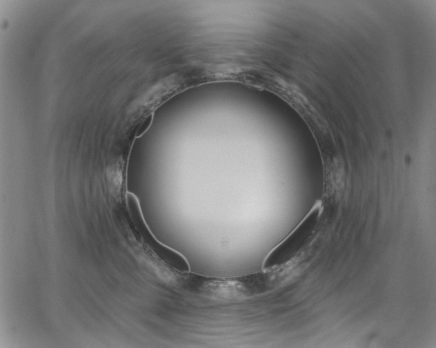 X0000067490427200604071209