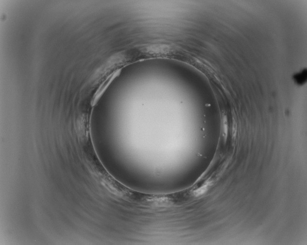 X0000067490428200604071209