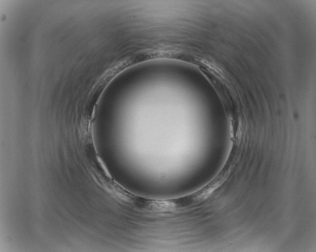 X0000067490429200604071209