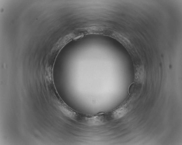 X0000067490430200604071209