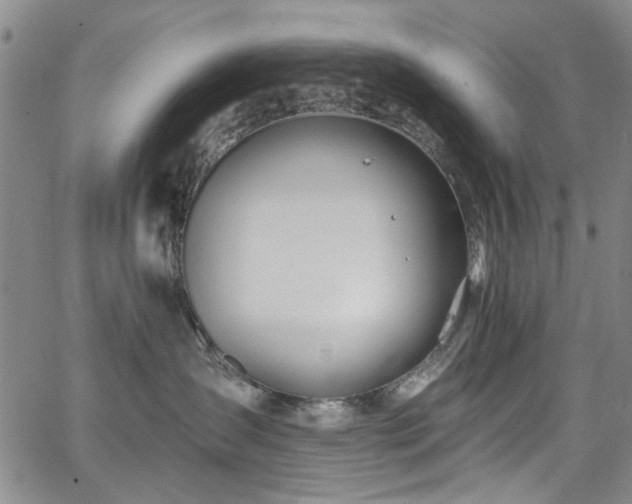 X0000067490431200604071209