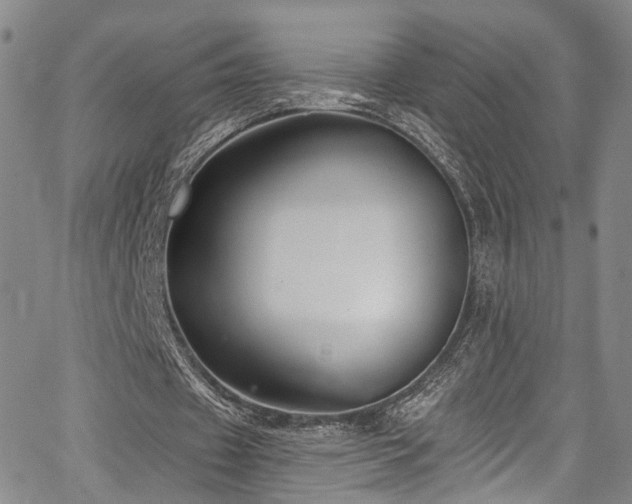 X0000067490433200604071208