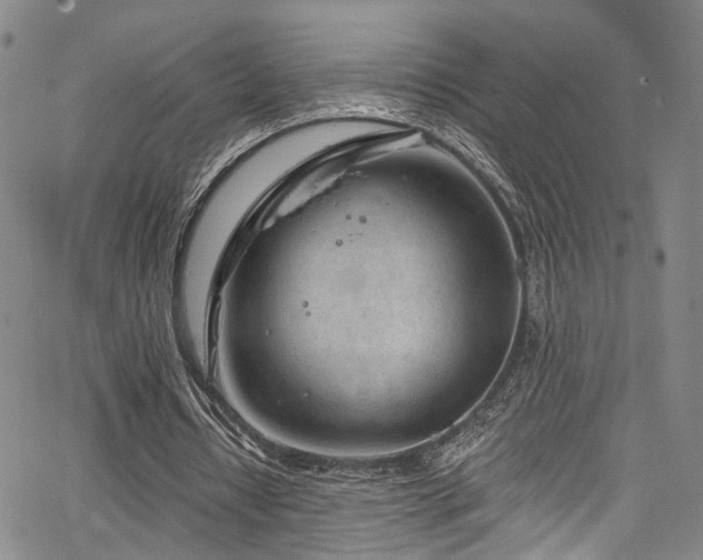 X0000067490434200604071208