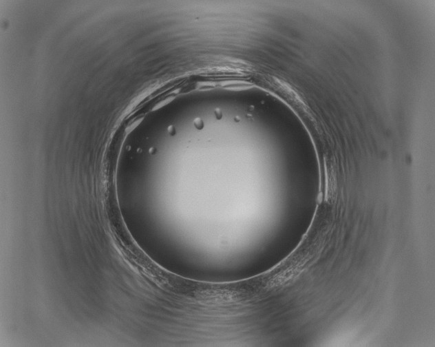 X0000067490435200604071208