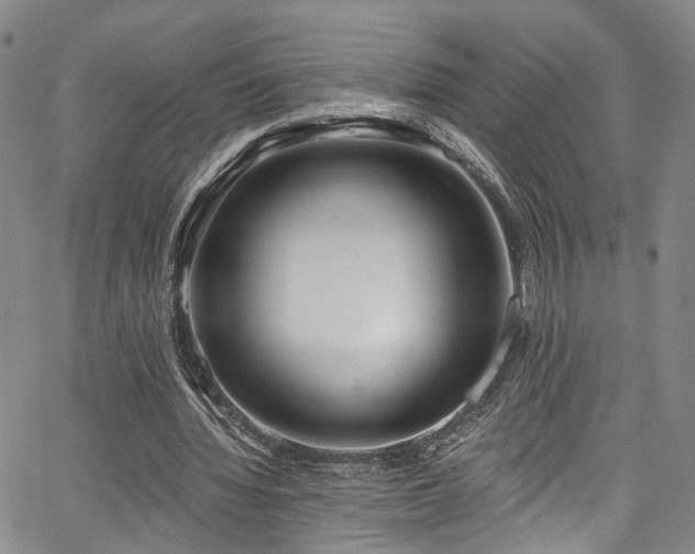 X0000067490436200604071208