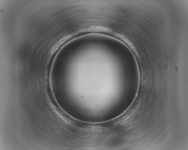 X0000067490437200604071208